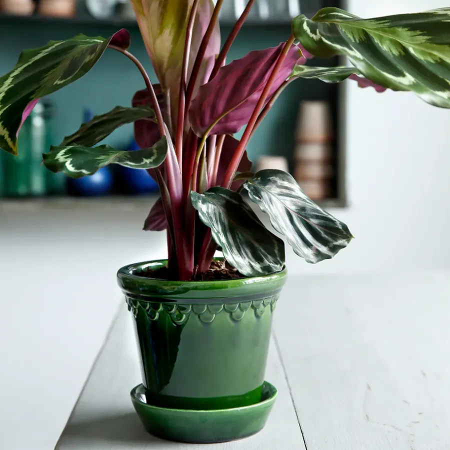 Bergs Potter Københavner pot geglazuurd Ø18 cm, Groen< Bloempotten