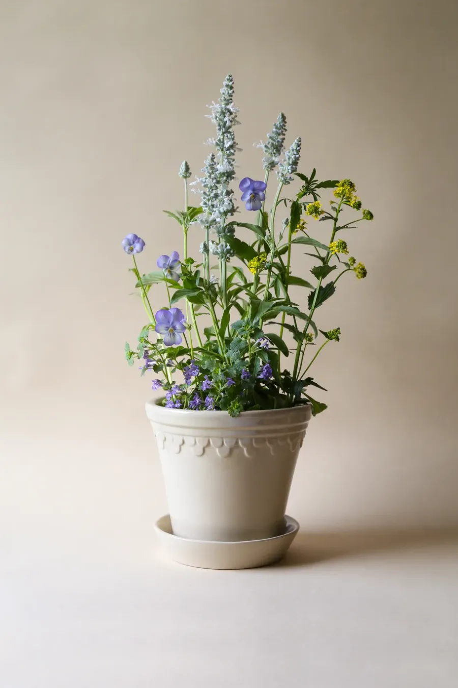 Bergs Potter Københavner pot geglazuurd Ø10 cm, Sand Stone< Bloempotten