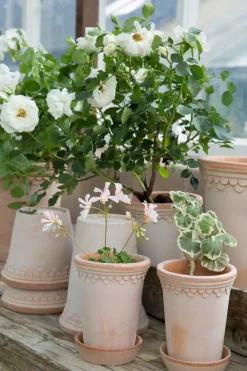 Bergs Potter Københavner pot hoog Ø10 cm, Roze< Bloempotten