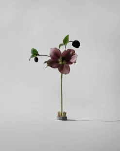 Hein Studio Kenzan vaas, Ø2,3 cm< Vazen