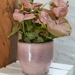 Knabstrup Keramik Knabstrup buitenbloempot Ø16,5 cm, Roze< Bloempotten