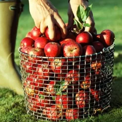 KORBO bucket 20, zuurbestendig staal< Opbergmanden