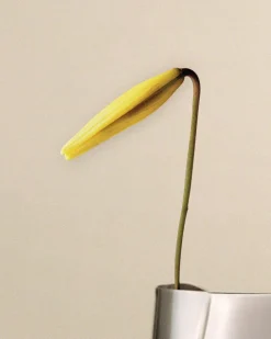 Georg Jensen Lituus vaas large 34,2 cm, Roestvrij staal< Vazen