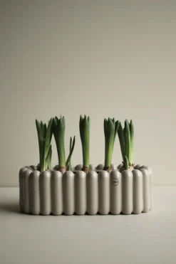 DBKD Mist pot ovaal small 35 cm, Glanzende mol< Bloempotten