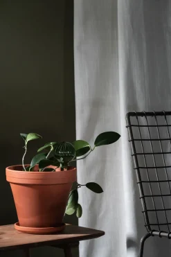 Muurla watergeefbol 15 cm, Groen< Gieters