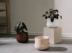 Iittala Nappula pot met schotel Ø17 cm h13 cm, Wit< Bloempotten