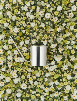 Stelton Original waterkan 1,7 l, Roestvrij staal< Gieters