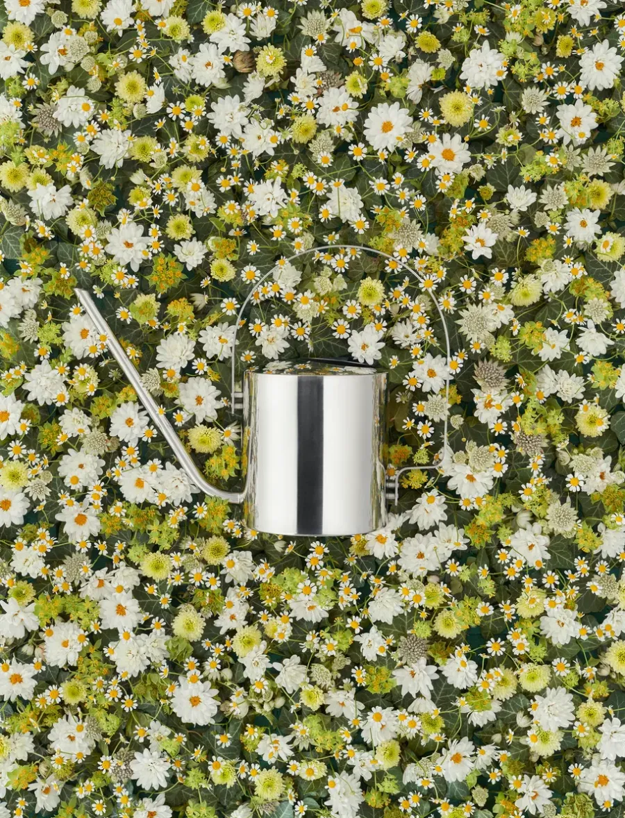 Stelton Original waterkan 1,7 l, Roestvrij staal< Gieters