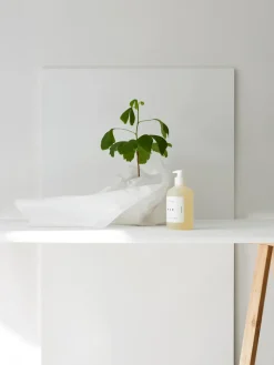 Tangent Oud handzeep, 350 ml< Zeep & Crèmes