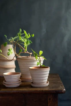 Bergs Potter Planet Mars pot Ø12 cm, Roze< Bloempotten