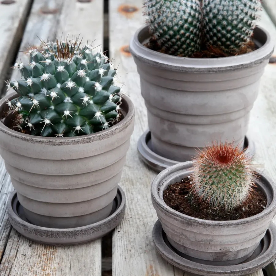 Bergs Potter Planet Venus pot Ø14 cm, Grijs< Bloempotten