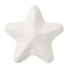Broste Copenhagen Pulp sterrenpiek 22 cm, White< Kerstdecoraties
