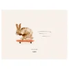 Paper Collective Rocky the Rabbit poster, 30x40 cm< Posters|Kinderkamer Interieuraccessoires