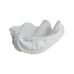 Mette Ditmer Shell decoratie, Small< Decoratieve Accessoires