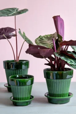 Bergs Potter Simona bloempot geglazuurd Ø12 cm, Green< Bloempotten