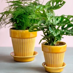 Bergs Potter Simona pot geglazuurd Ø16 cm, Geel< Bloempotten
