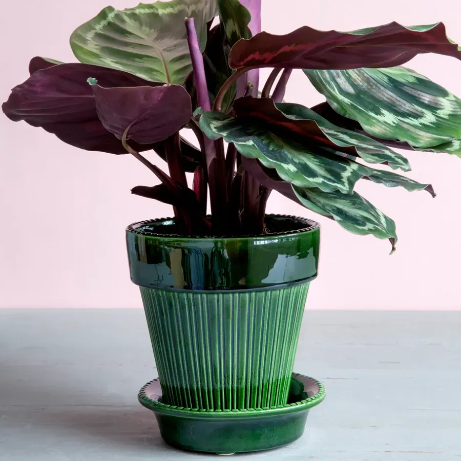 Bergs Potter Simona pot geglazuurd Ø16 cm, Groen< Bloempotten
