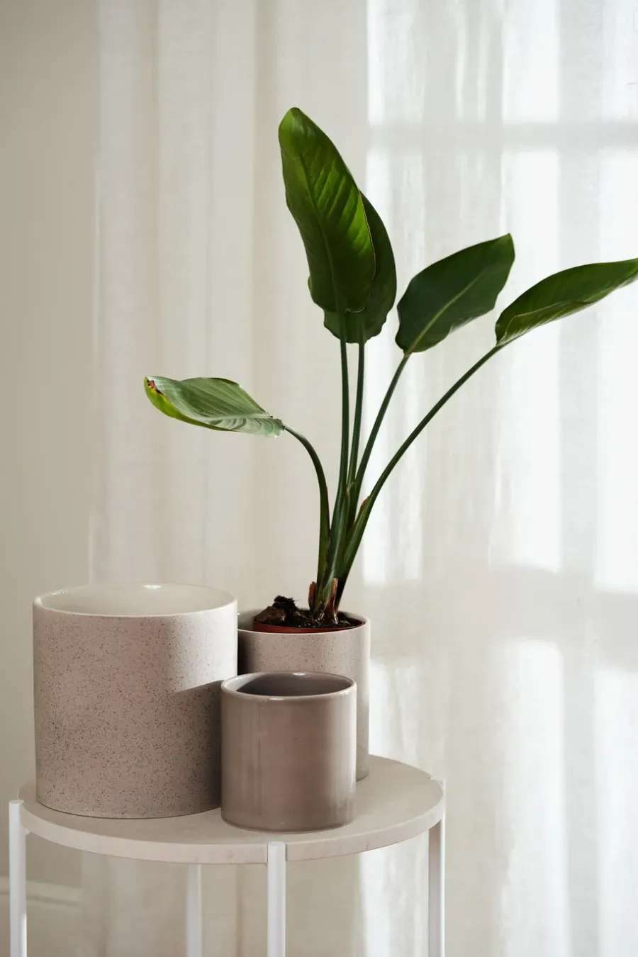 Scandi Living Sleek bloempot Ø12 cm, Beige< Bloempotten
