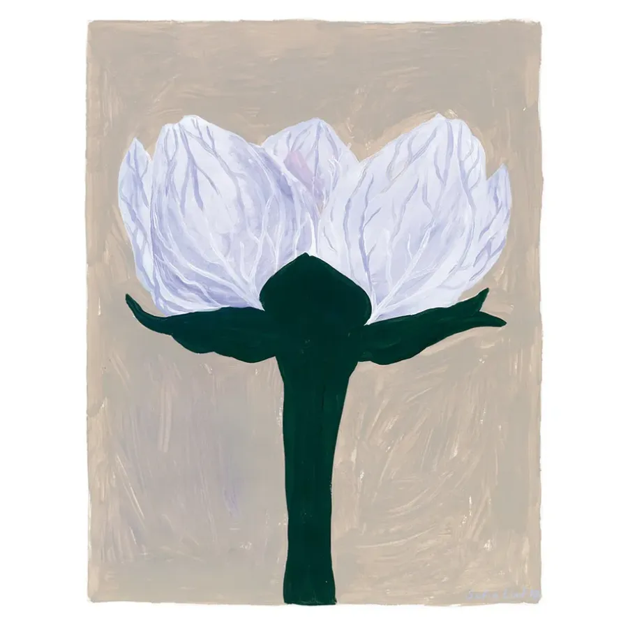 Fine Little Day Slåtterblomma poster, 40x50 cm< Posters