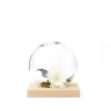 A2 Space decoratie, witgeolied eikenhout, glas< Decoratieve Accessoires
