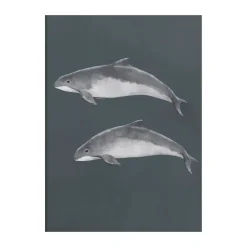 Kunskapstavlan® Östersjötumlare poster, 50x70 cm< Posters