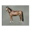 Kunskapstavlan® The anatomy of the horse poster, 50x70 cm< Posters
