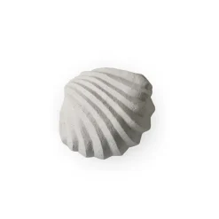 Cooee Design The Clam Shell sculptuur 13 cm, Limestone< Sculpturen & Porseleinen Beelden