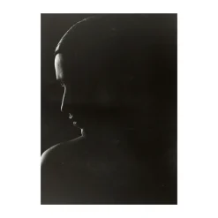 Paper Collective The Silhouette poster, 30x40 cm< Posters