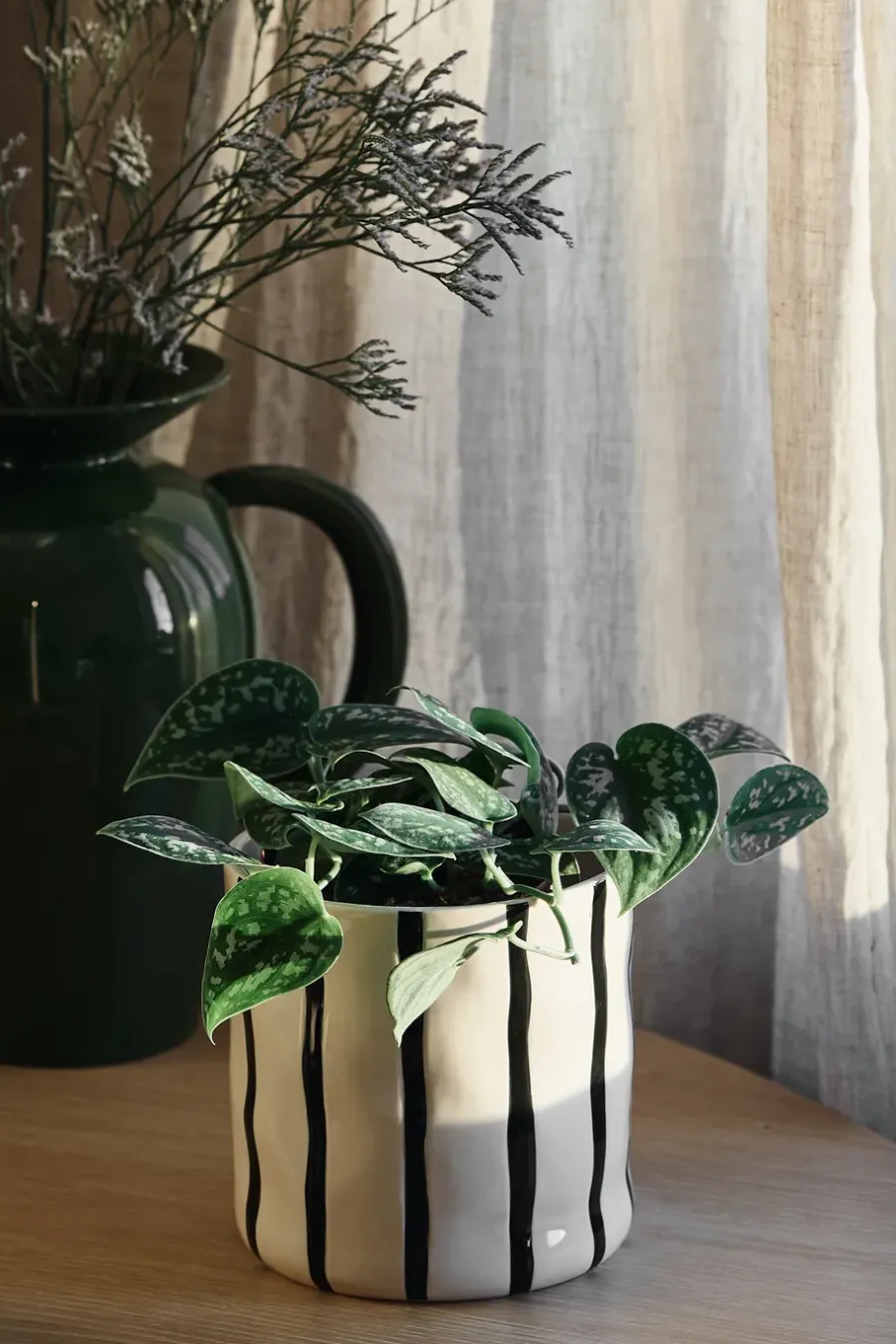 Scandi Living Thrive pot Ø16 cm, Wit-zwart< Bloempotten