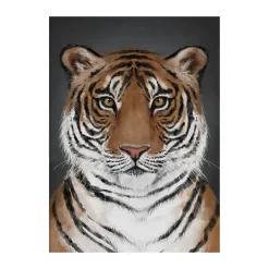 Kunskapstavlan® Tiger poster, 30x40 cm< Posters