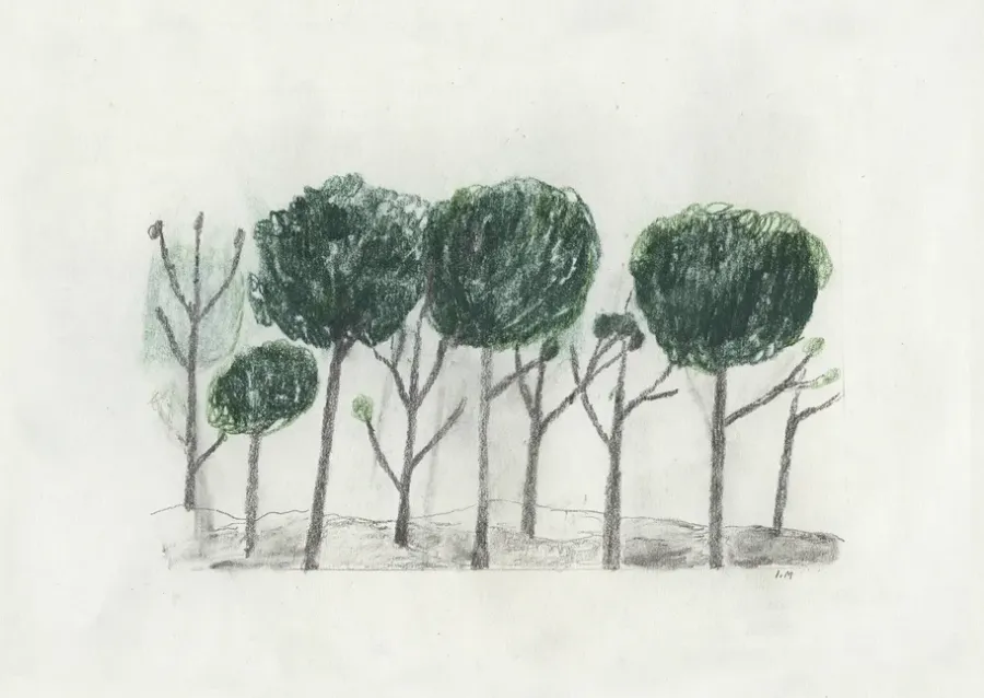 Fine Little Day Trees poster 50x70 cm, Zwart- off white< Posters