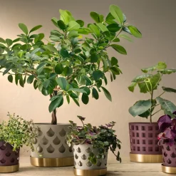 KLONG Trio Drop bloempot beige met schotel van messing, Medium Ø18 cm< Bloempotten