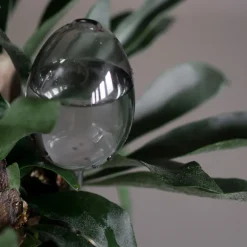 DBKD Waterbubble waterdruppelaar, Clear< Gieters