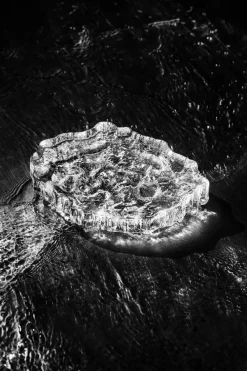 Iittala Wirkkala Decoratieve ijsschaal Ø13,5 cm, Helder< Decoratieve Accessoires